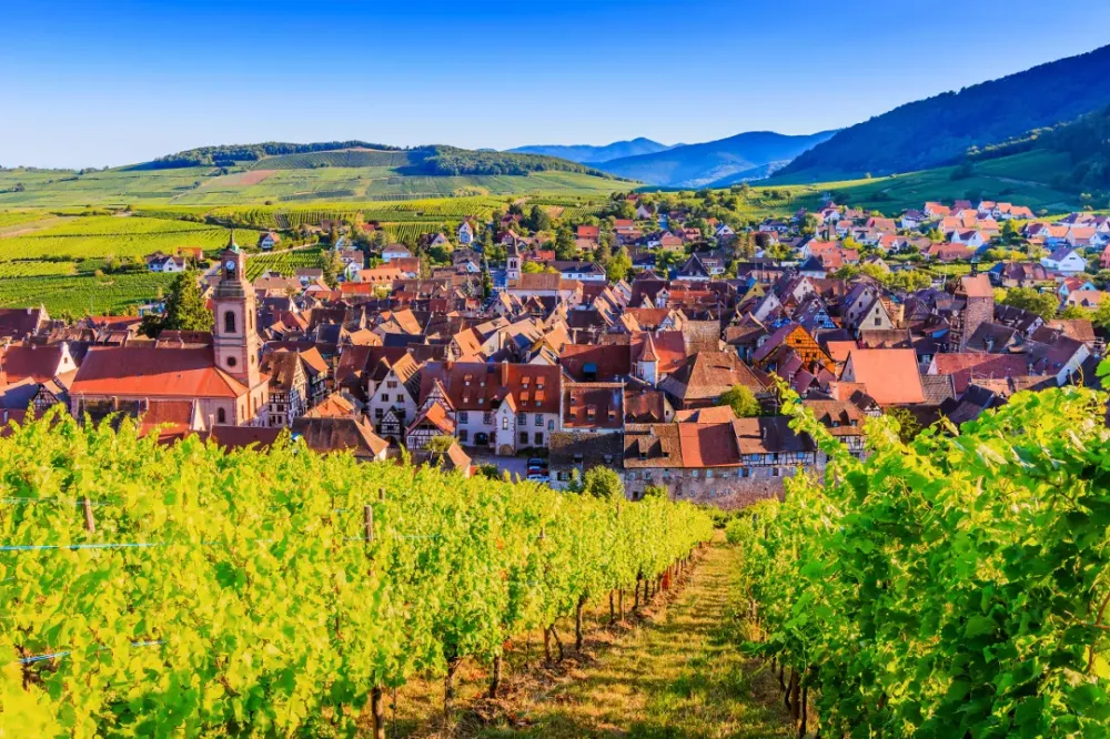 Vigneron à Mittelwihr